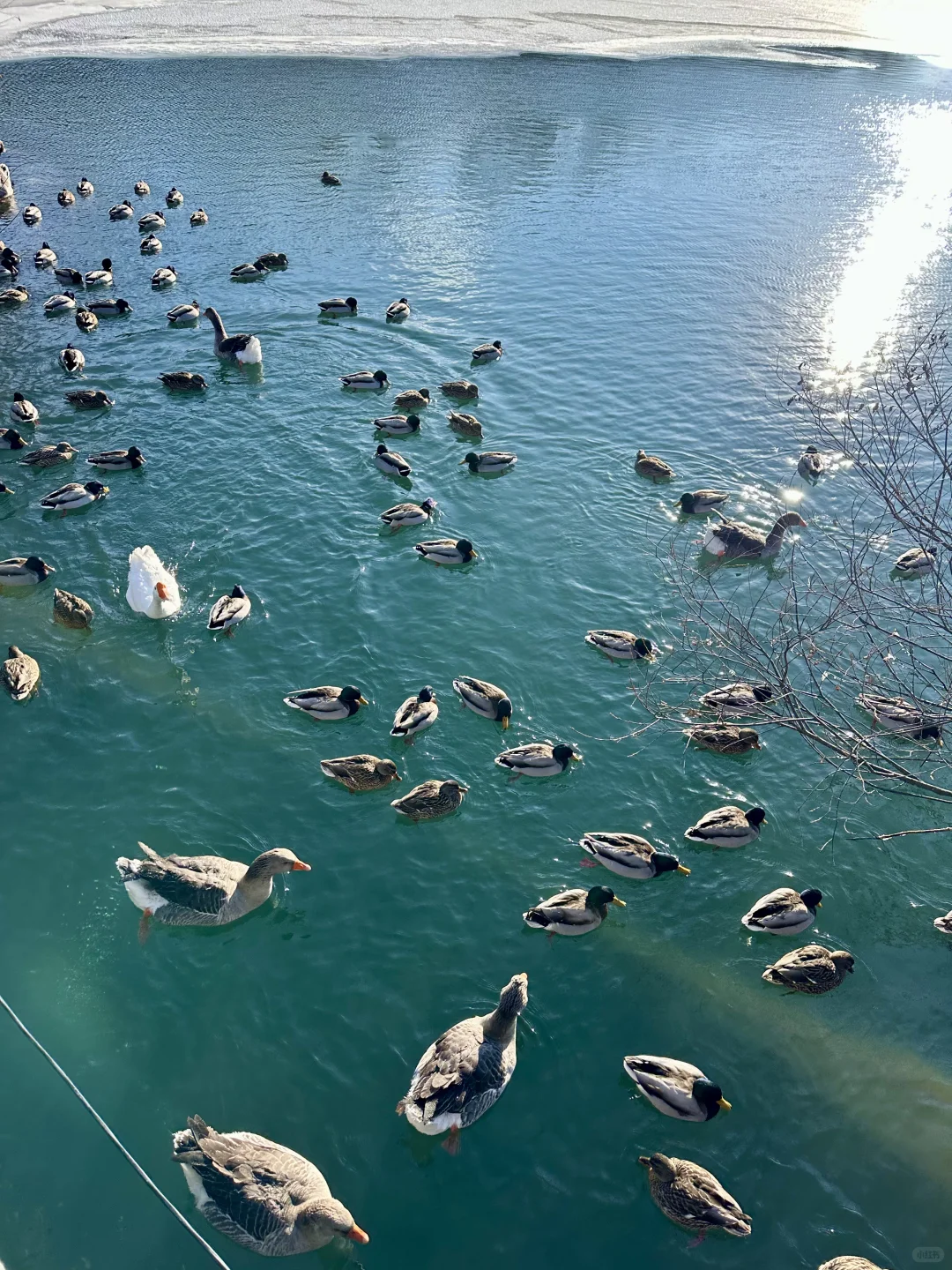 原本以为尔滨够美啦,直到去了这里…附线路