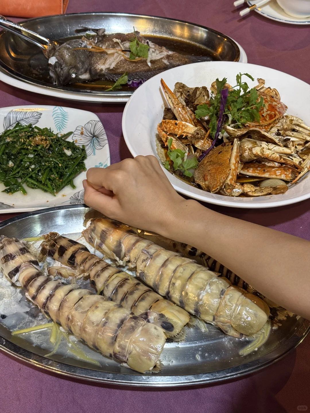 刚从亚庇、仙本那回来，真的劝退不了一点