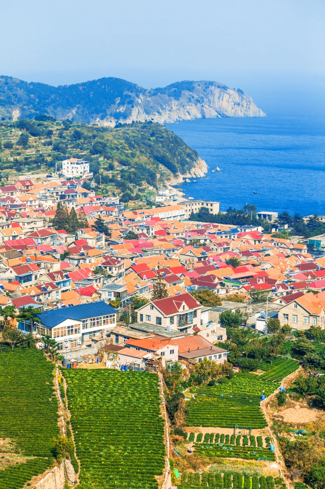 11月旅行✈️淡季青岛是人间理想🌊保姆级攻略