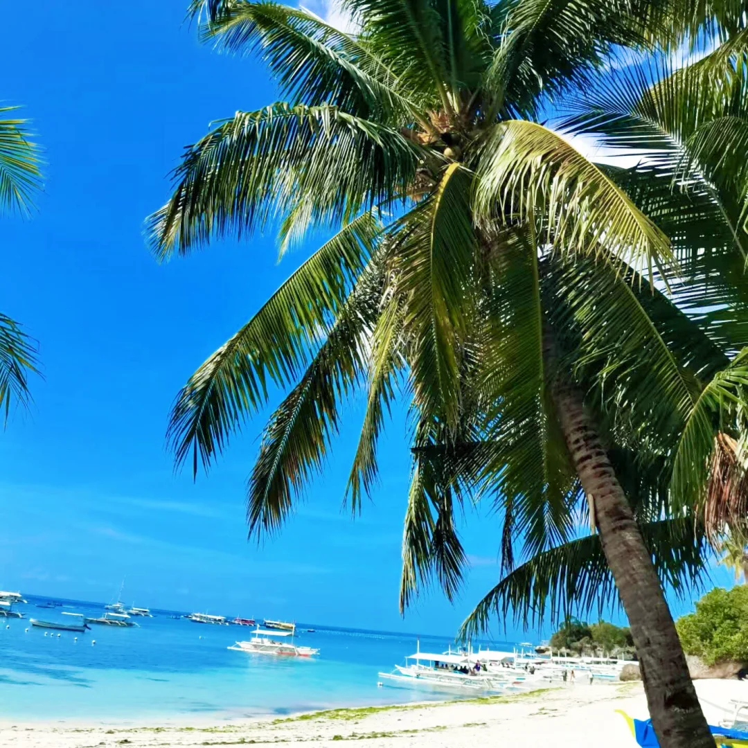 人生建议：一生一定要去一次的海岛🏝️薄荷岛