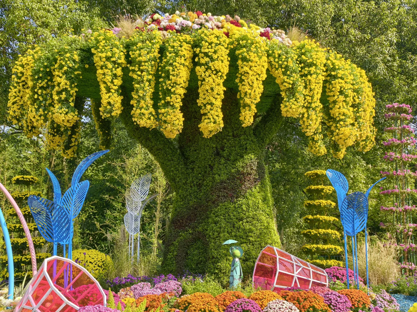 共青森林公园菊花展赏玩全攻略