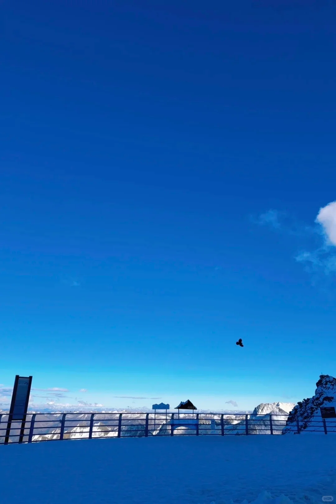 达古冰川一日游天天发车（纯玩）