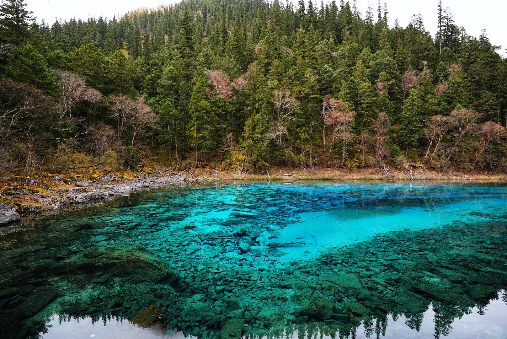其实玩好九寨沟的精髓是松弛
