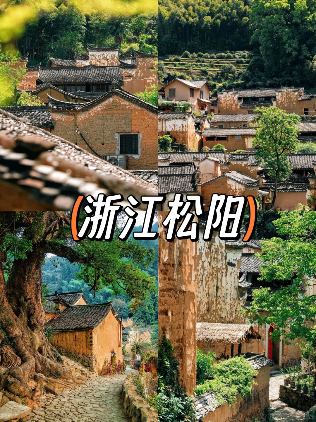 爸妈不喊累，4个超舒适景点，少走路慢节奏