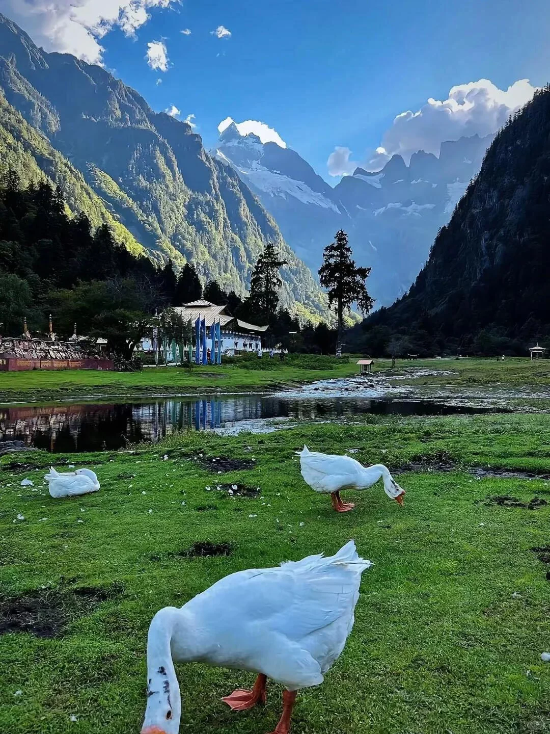 9-11月淡季梅里住雪山酒店，后劲比失恋还大