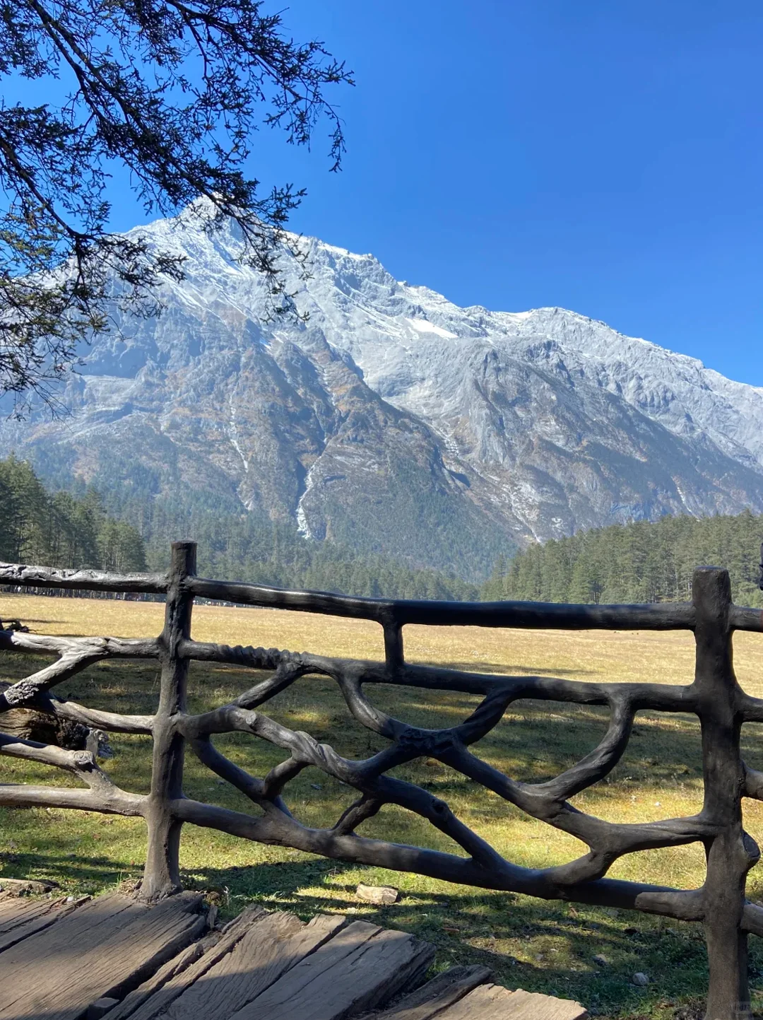 玉龙雪山一日错峰攻略|4大景点干货合集