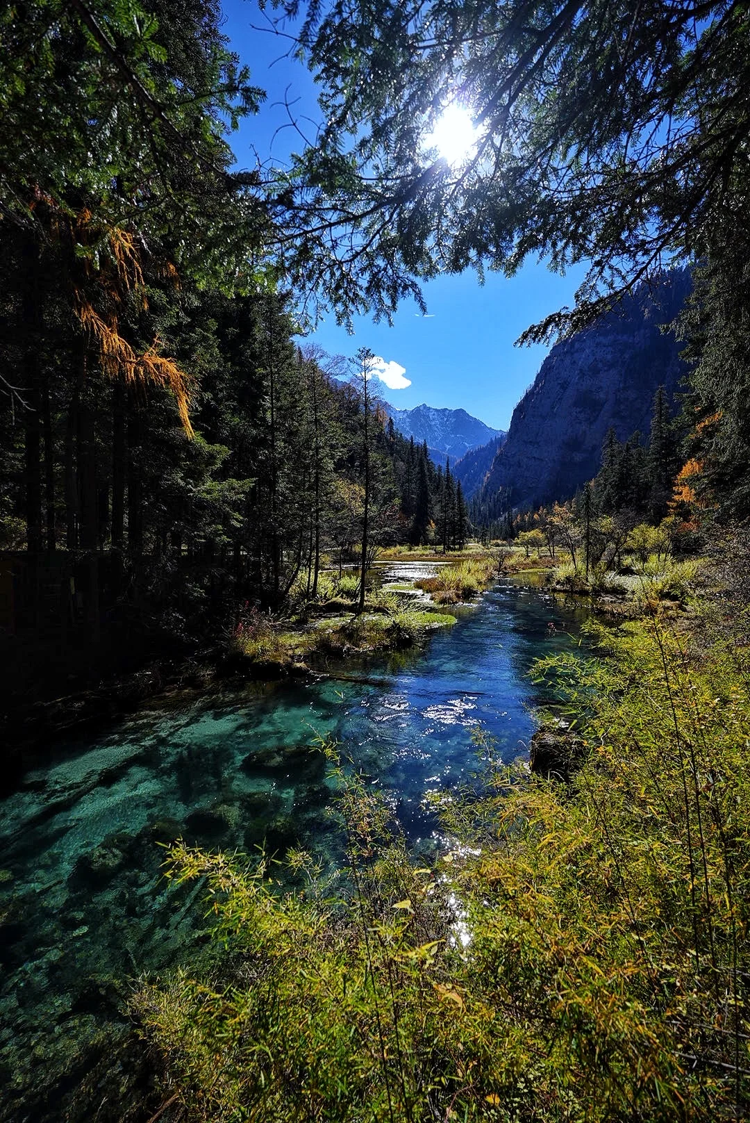 其实玩好九寨沟的精髓是松弛