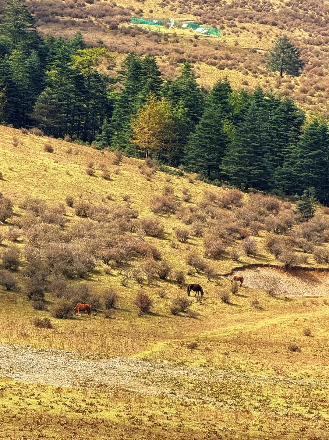 玉龙雪山一日错峰攻略|4大景点干货合集