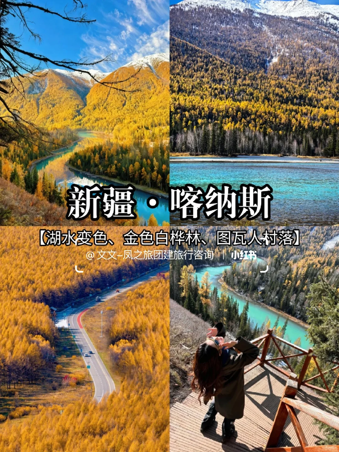 秋冬日限定版🍁10-12月国内赏秋地推荐