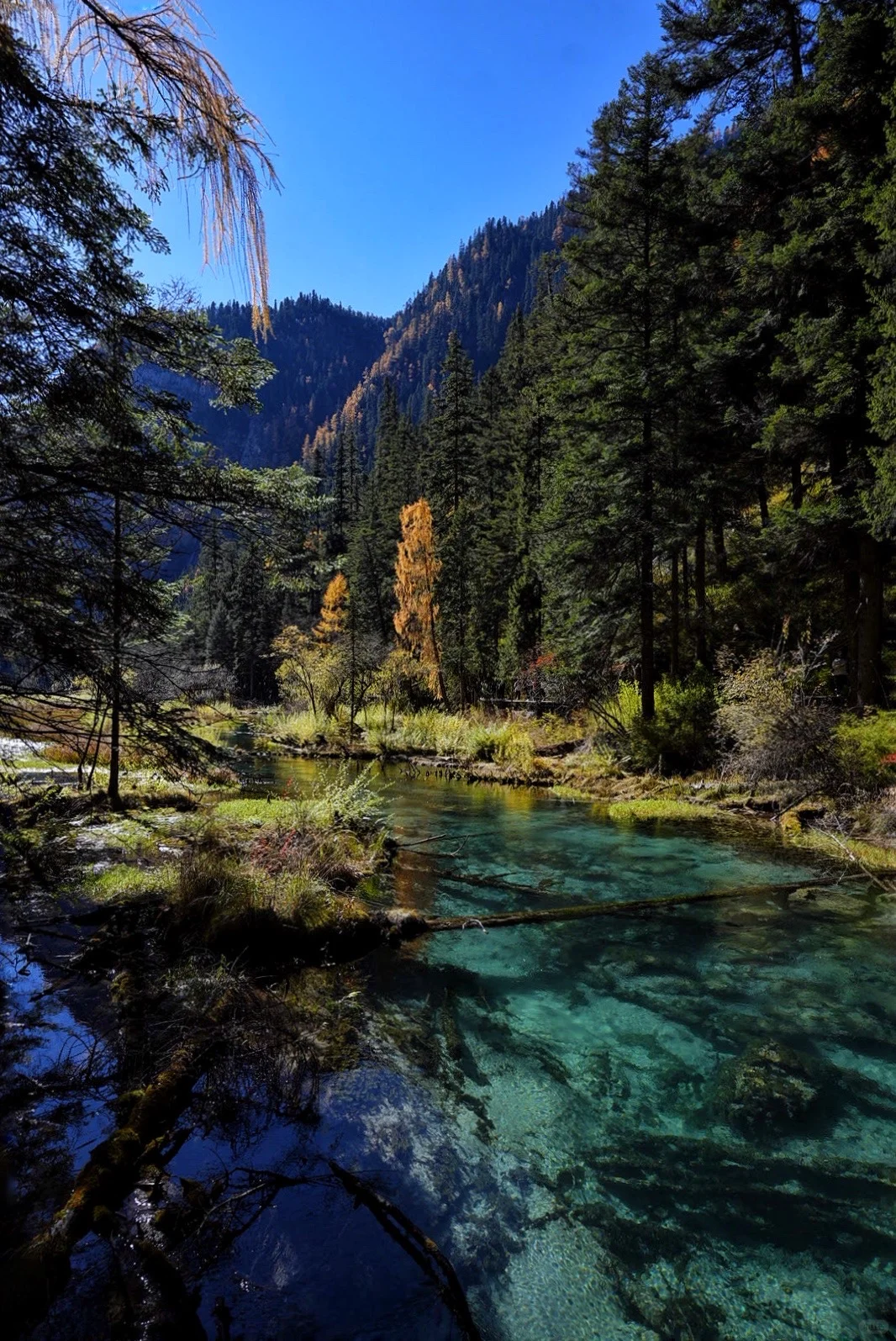 其实玩好九寨沟的精髓是松弛