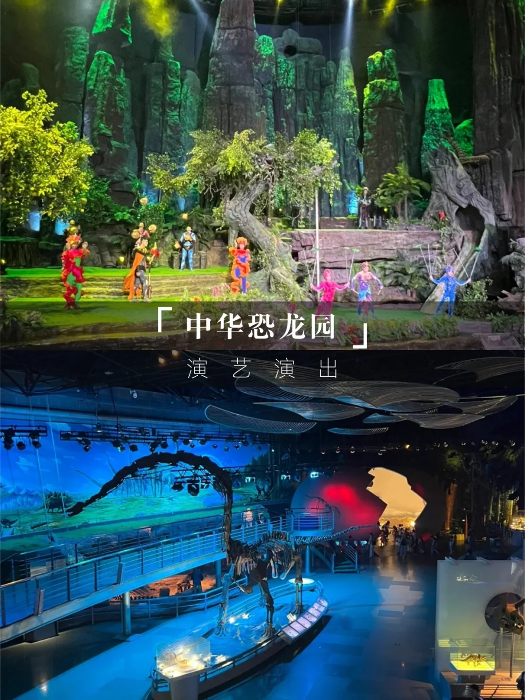 常州恐龙园亲子游🦕688住希尔顿玩2日票