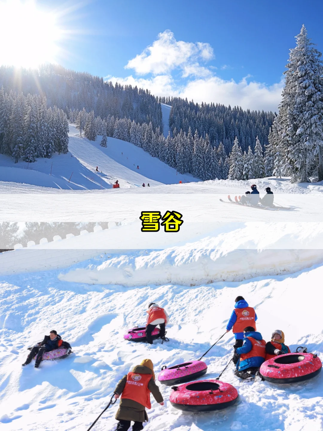 在国内！真不是芬兰！哈尔滨亲子游全攻略❄