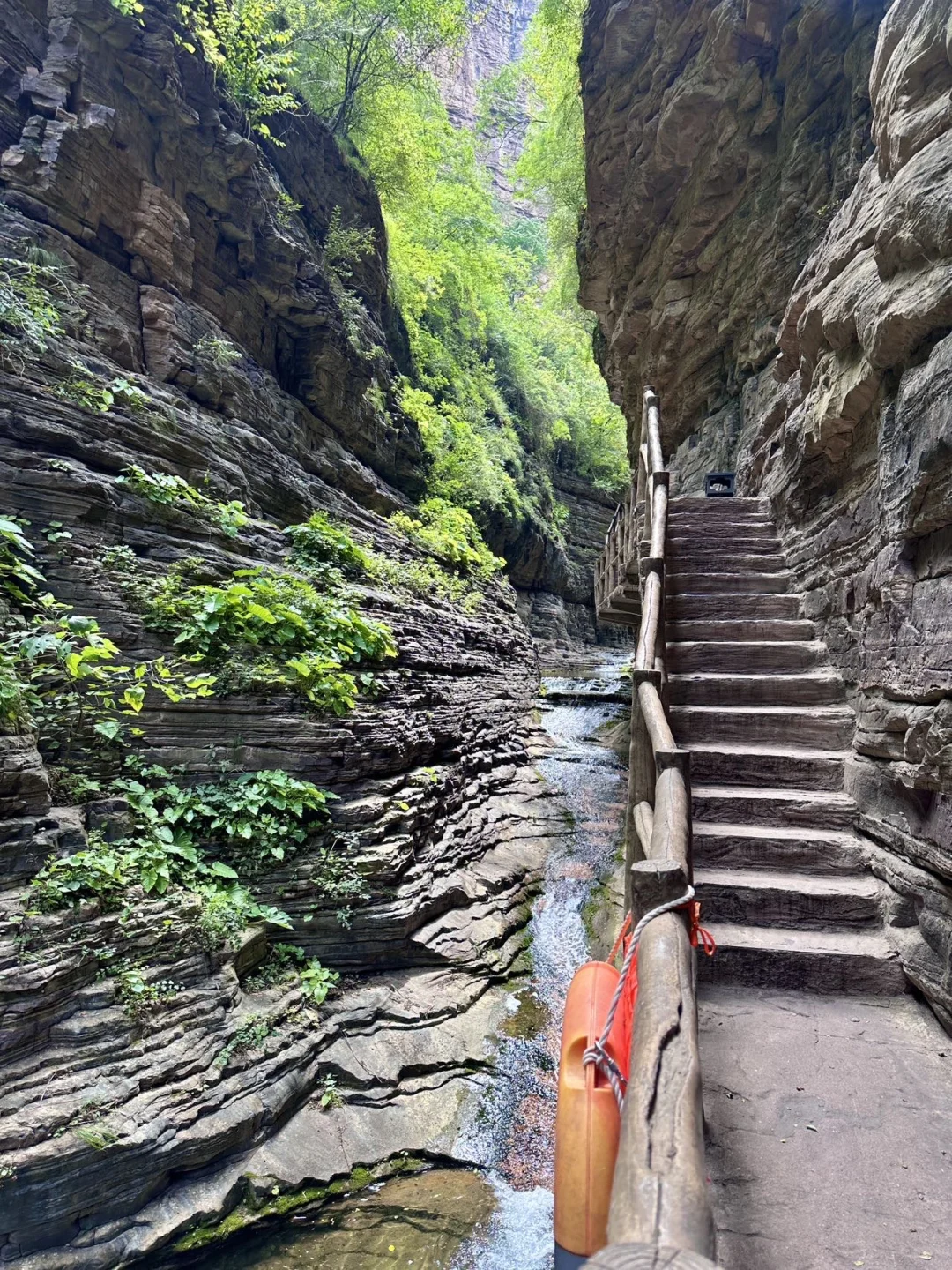 放轻松 森呼吸🍃