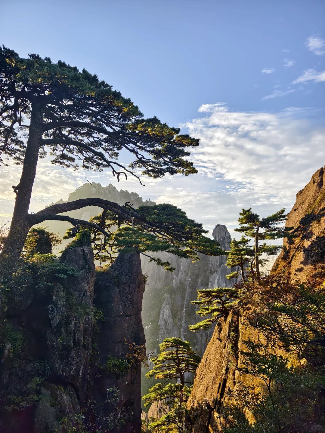 11.2的黄山可太美了