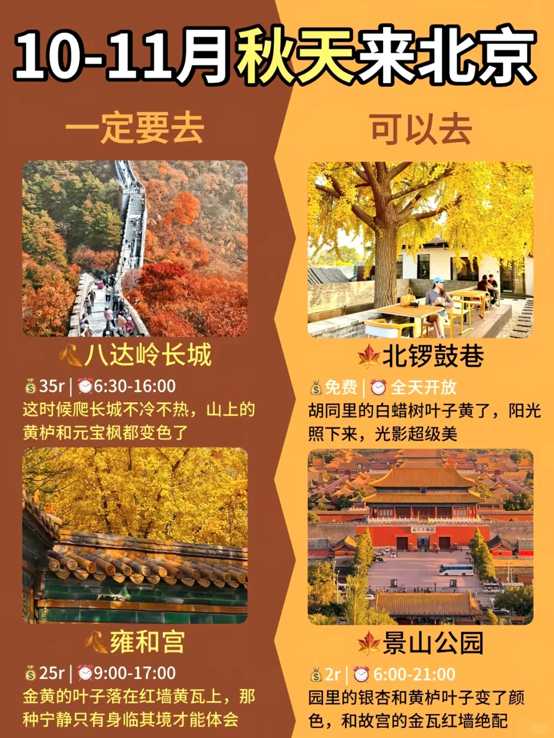 北京进入秋日油画模式