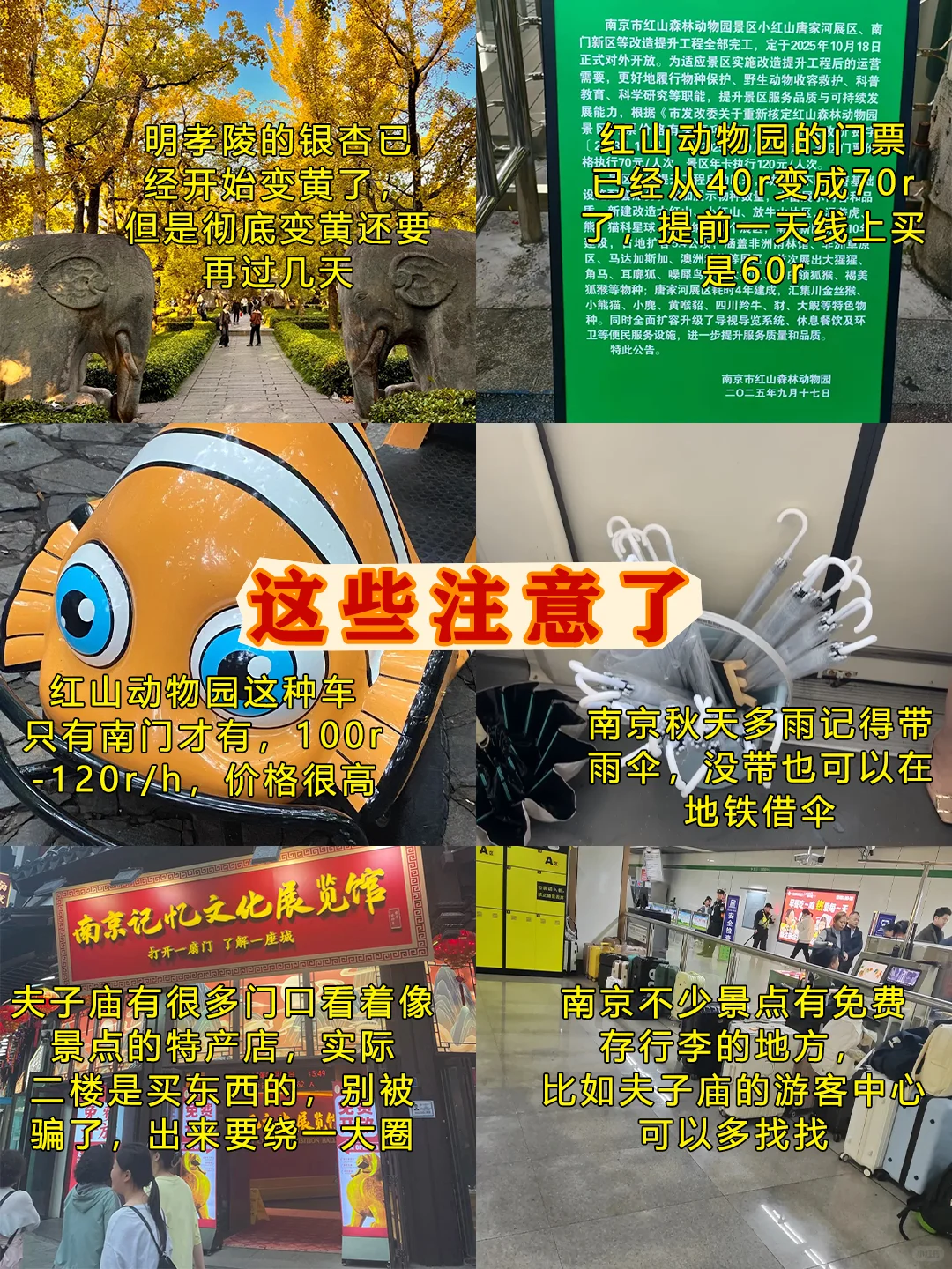 📍11.7南京已回，和xhs说的两模两样😫