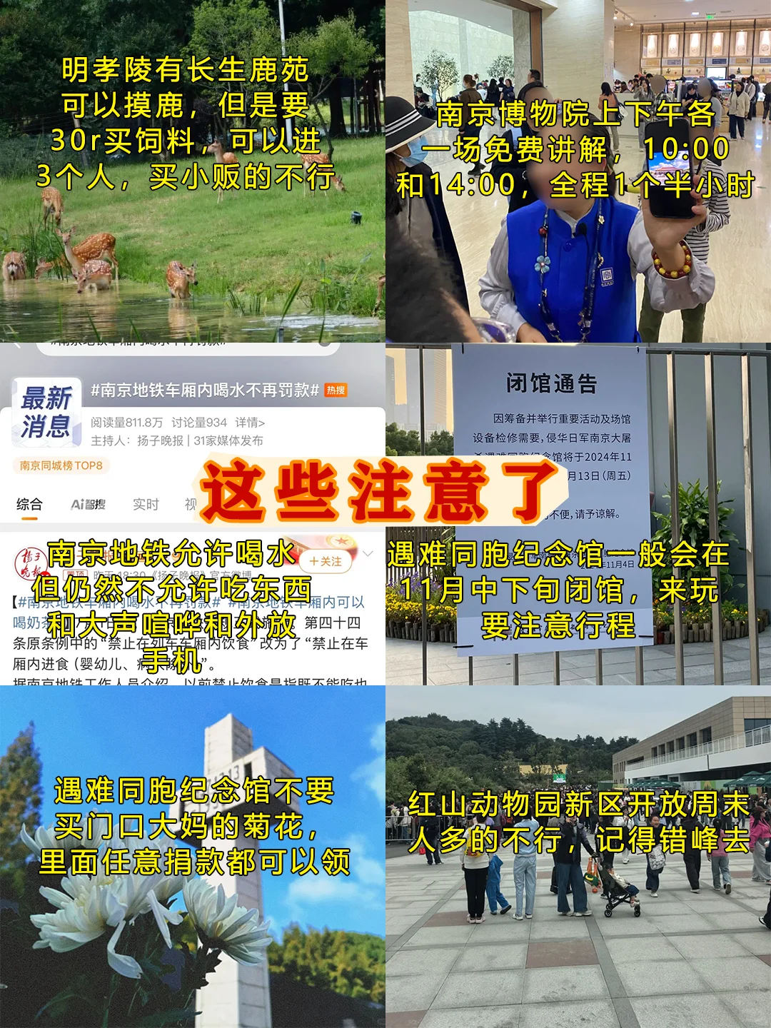 📍11.7南京已回，和xhs说的两模两样😫