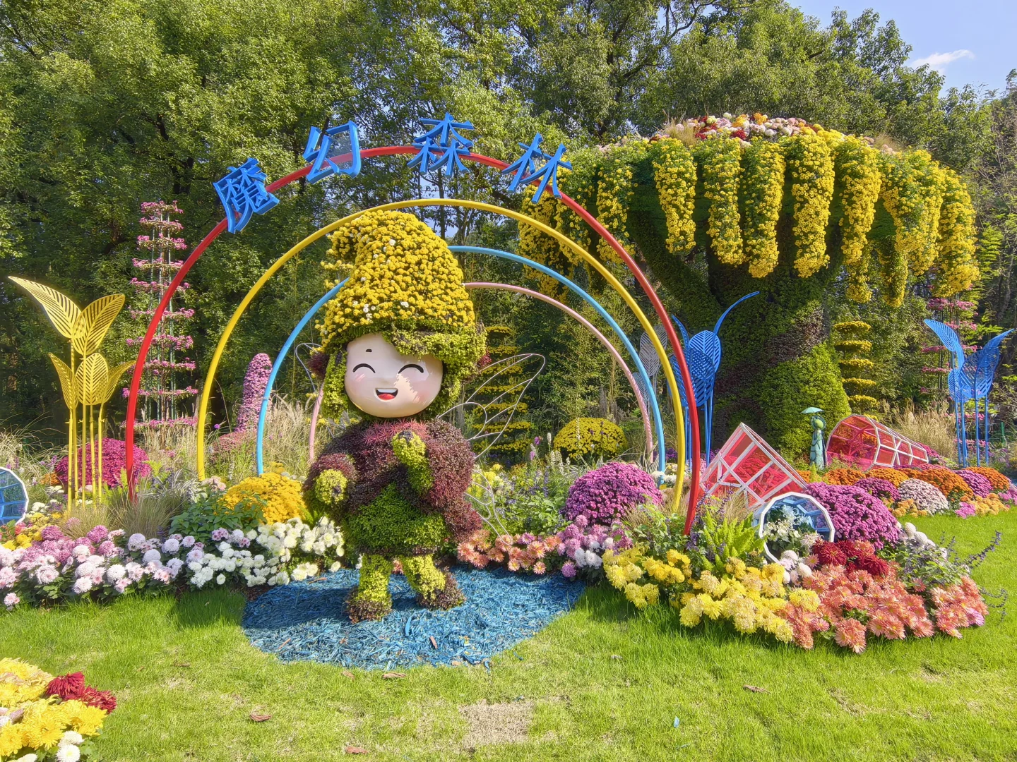 共青森林公园菊花展赏玩全攻略