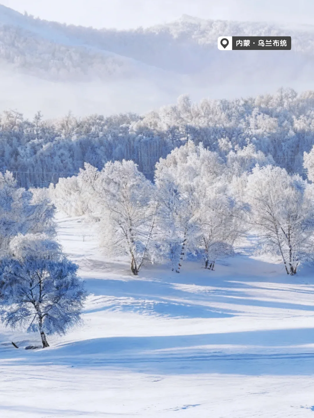 国内赏雪地图❄️11月-2月最佳旅行地合集！