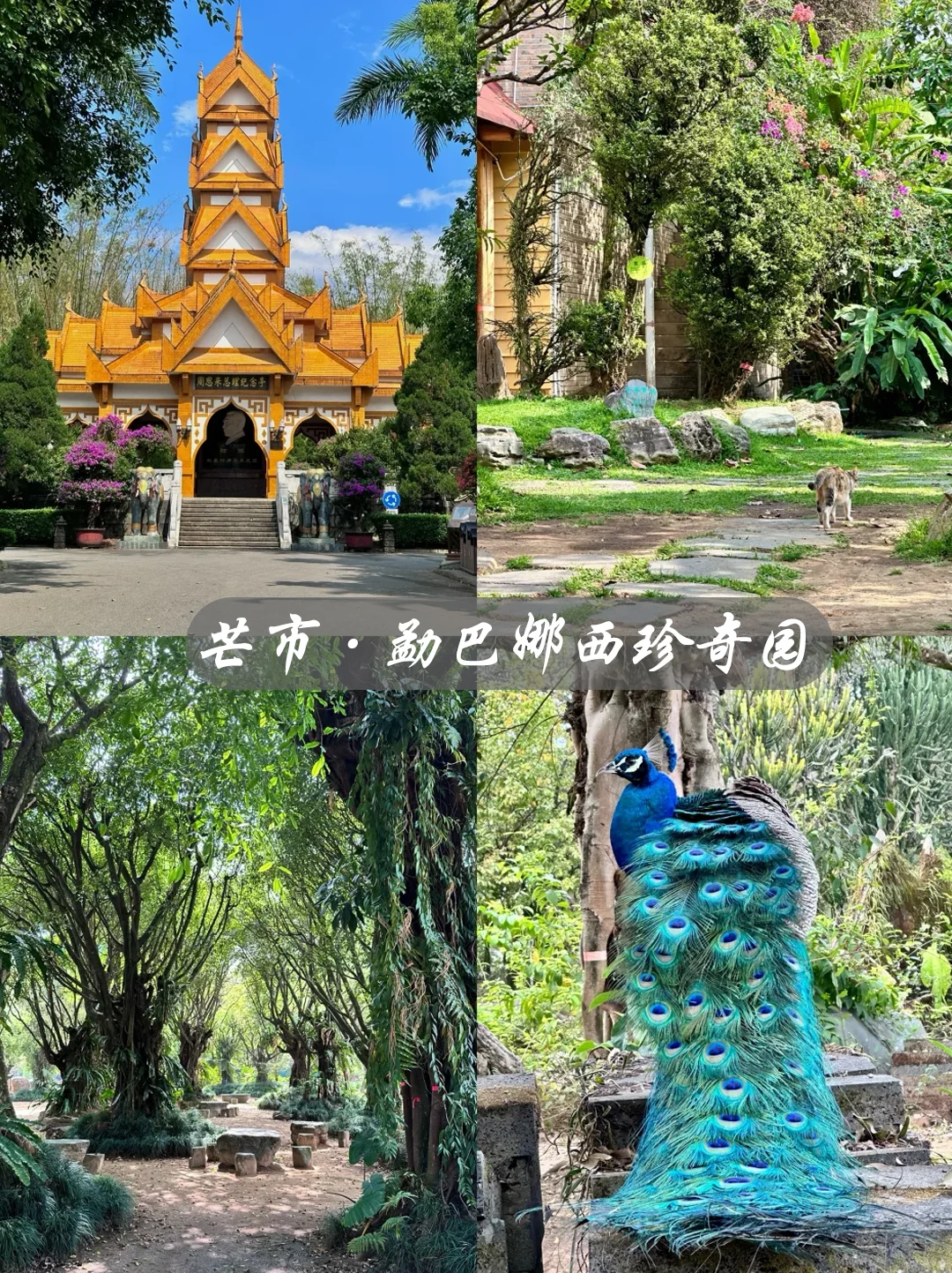 腾冲芒市瑞丽 5日独自旅游结束，说点实话！