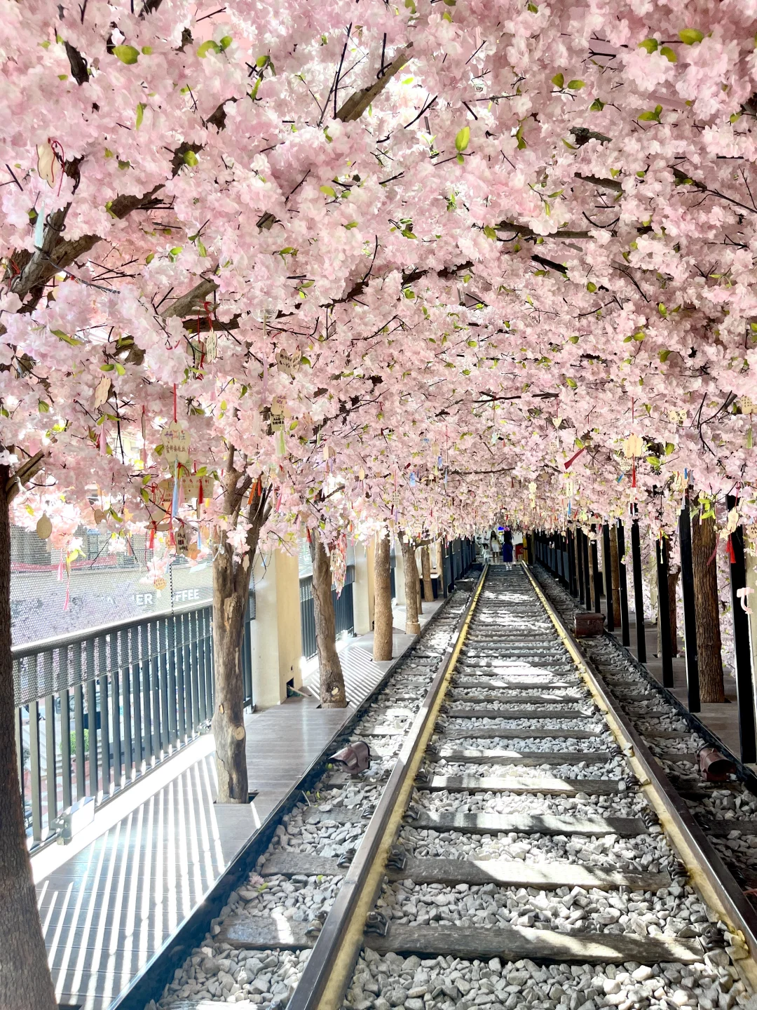 没出国‼️在武汉…… 假装自己在国外旅游