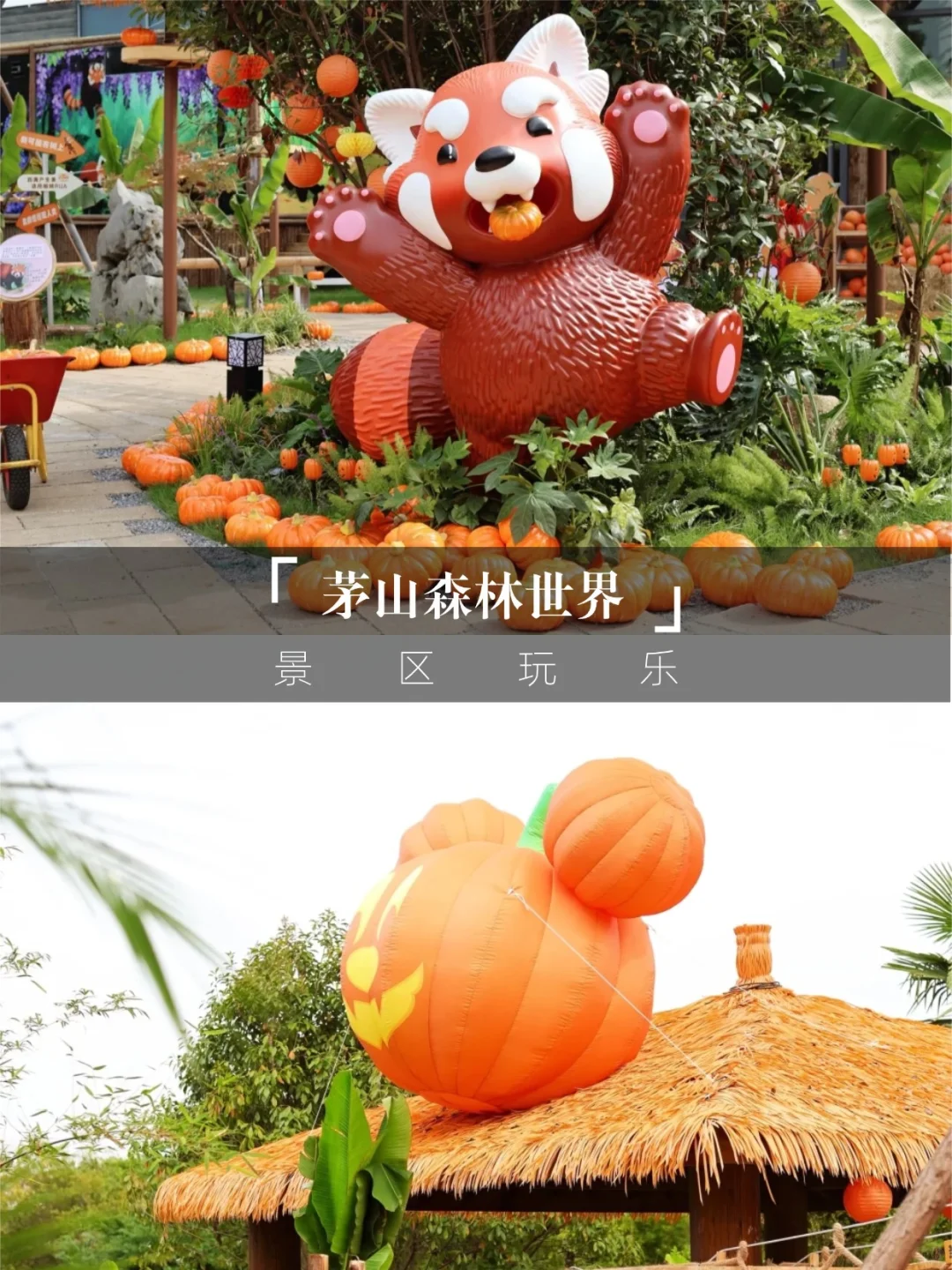 带娃闯进童话乐园🐼茅山森林世界跟风成功