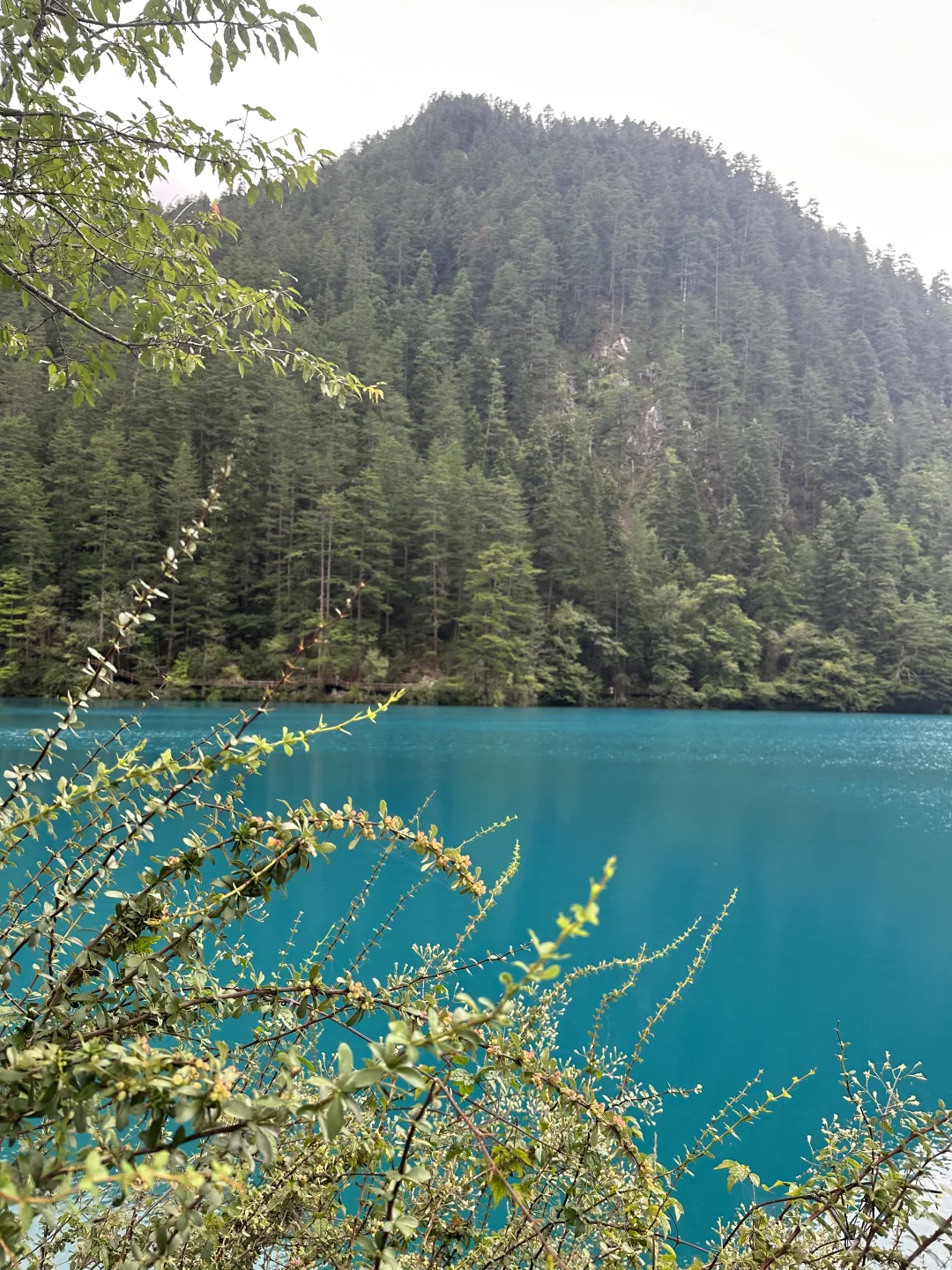 这个地方，你绝对不能错过！