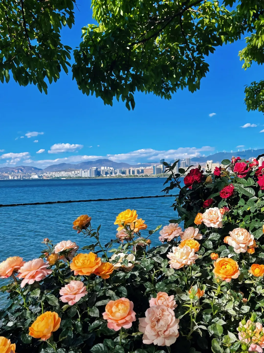 5.28📍云南旅游现状😭宝子后悔了✨听劝