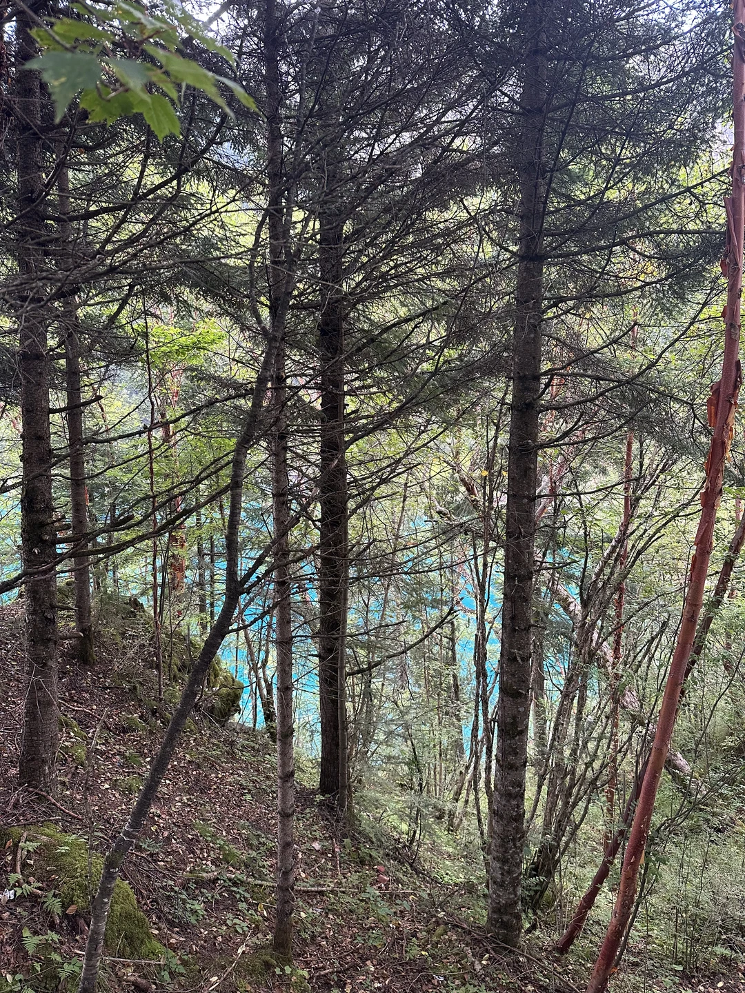 这个地方，你绝对不能错过！