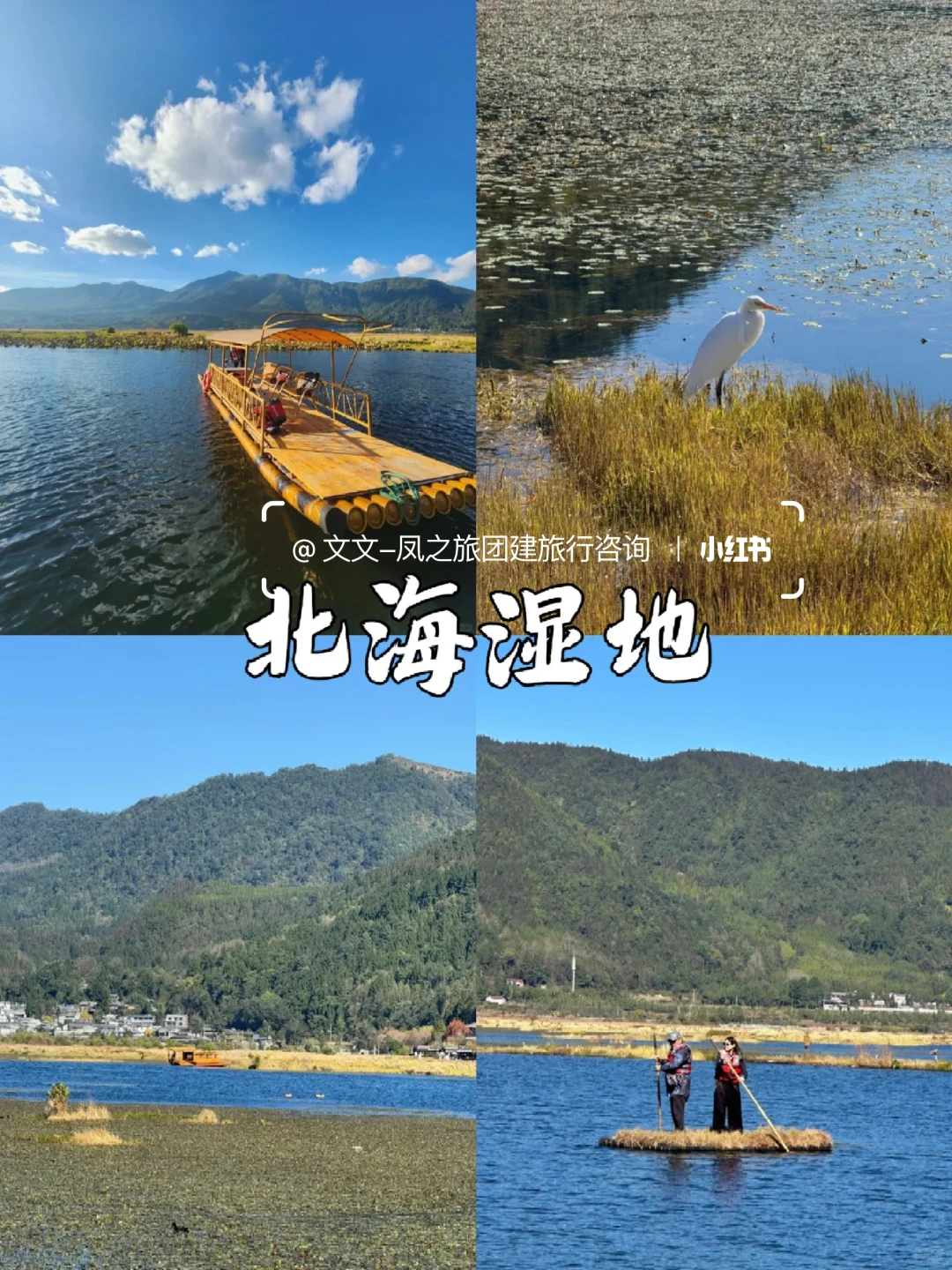 云南腾冲丨国内最美银杏古村,秋日童话世界