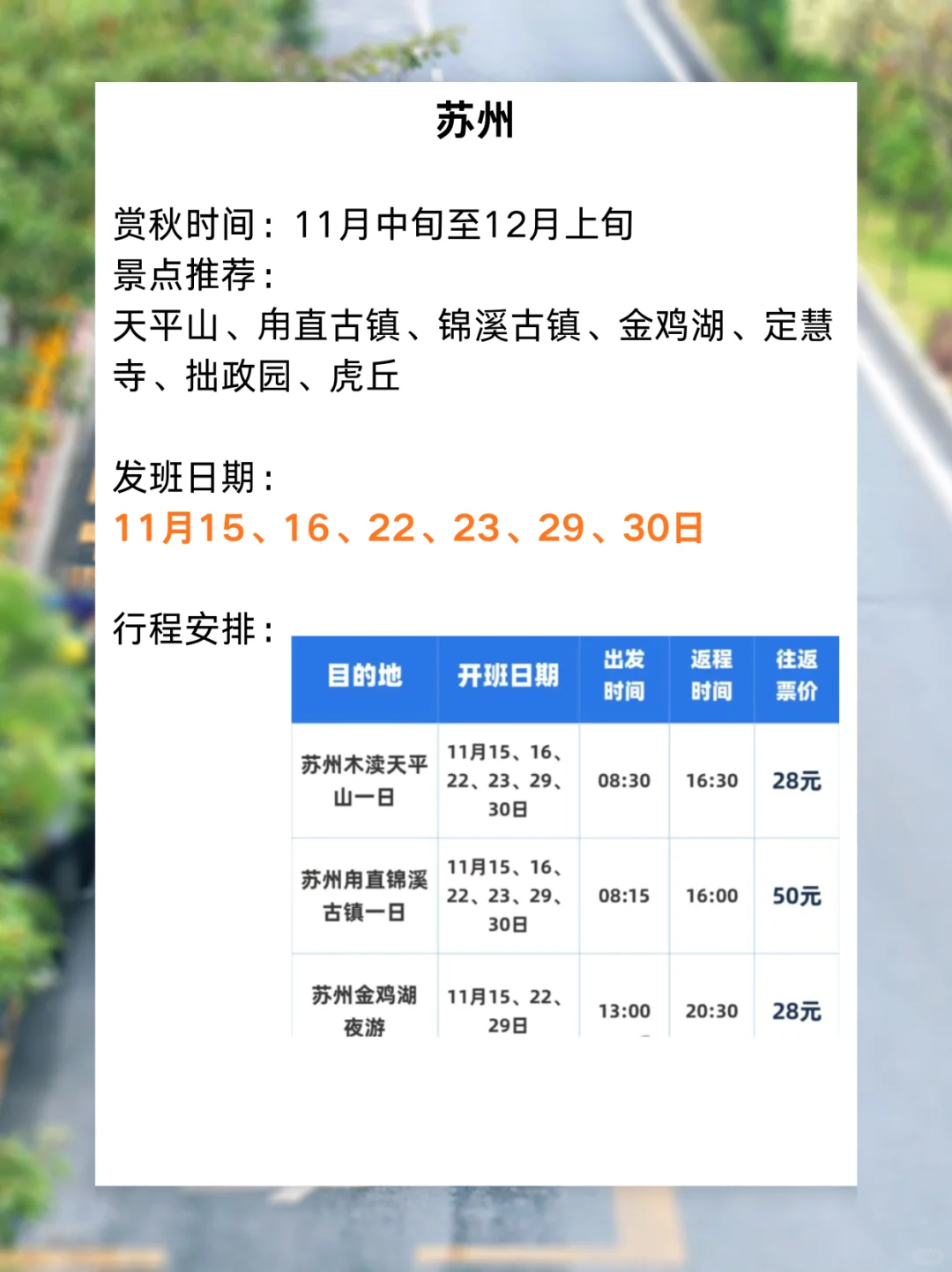 11月景区直通车来啦✨