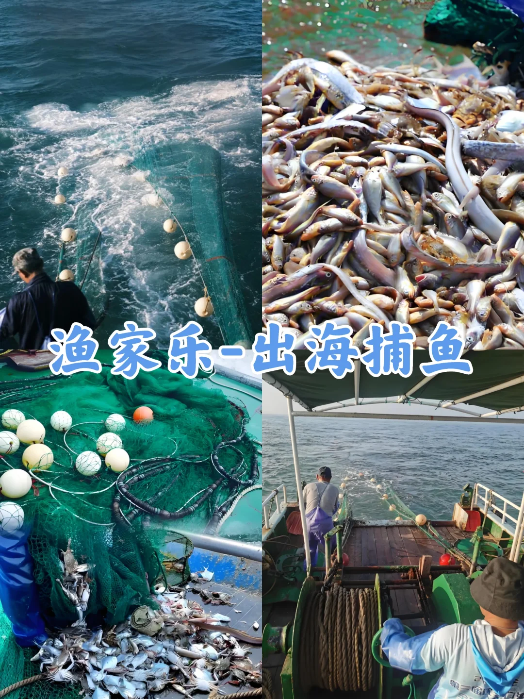 超火❗舟山团建丨泗礁岛团建攻略丨上海出发