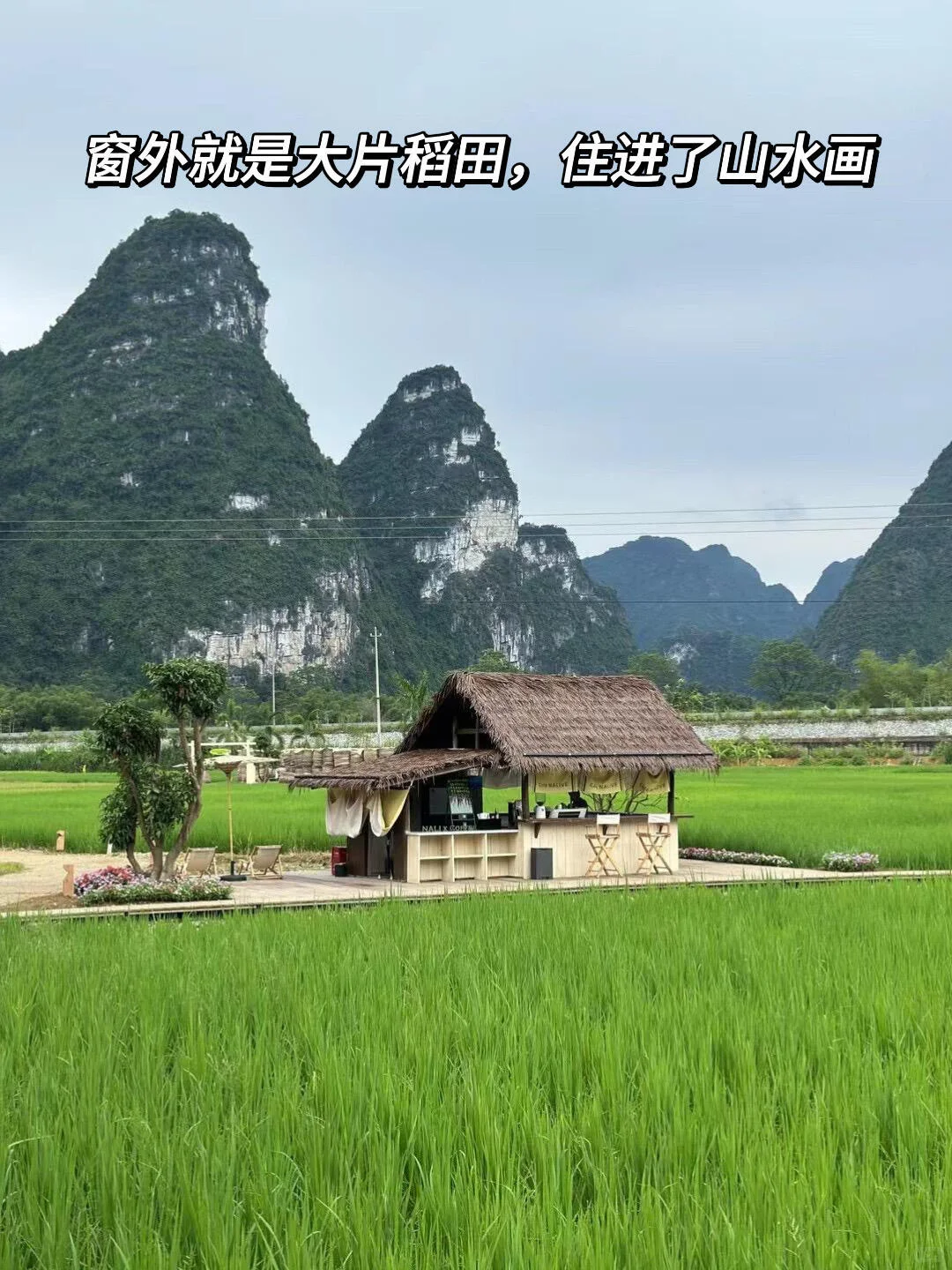 10-11月的崇左，真的和瑞士一样震撼！！！ 真的