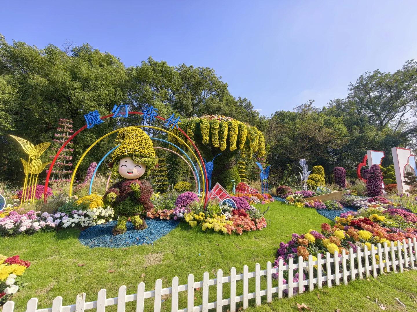 共青森林公园菊花展赏玩全攻略