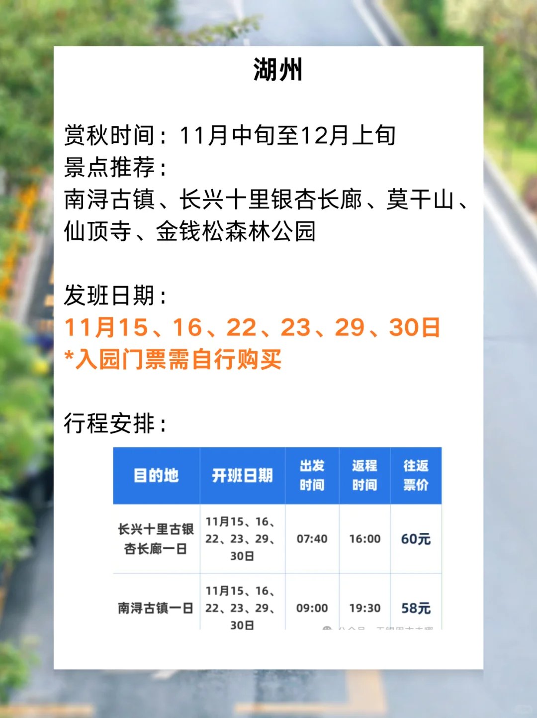 11月景区直通车来啦✨