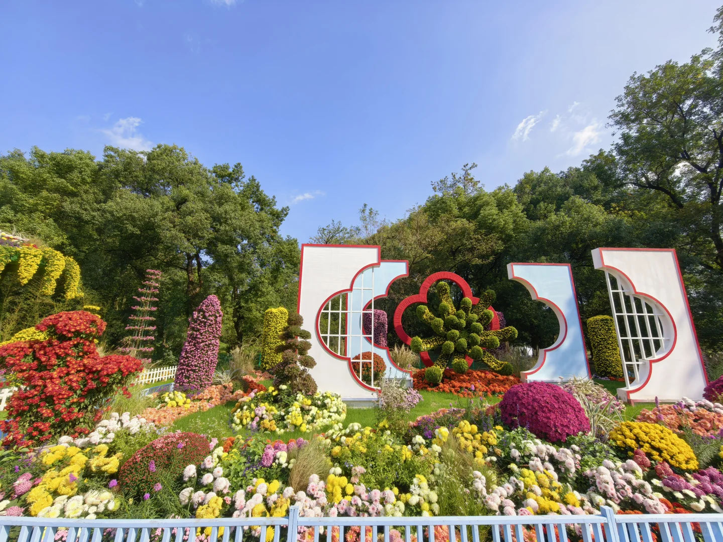 共青森林公园菊花展赏玩全攻略