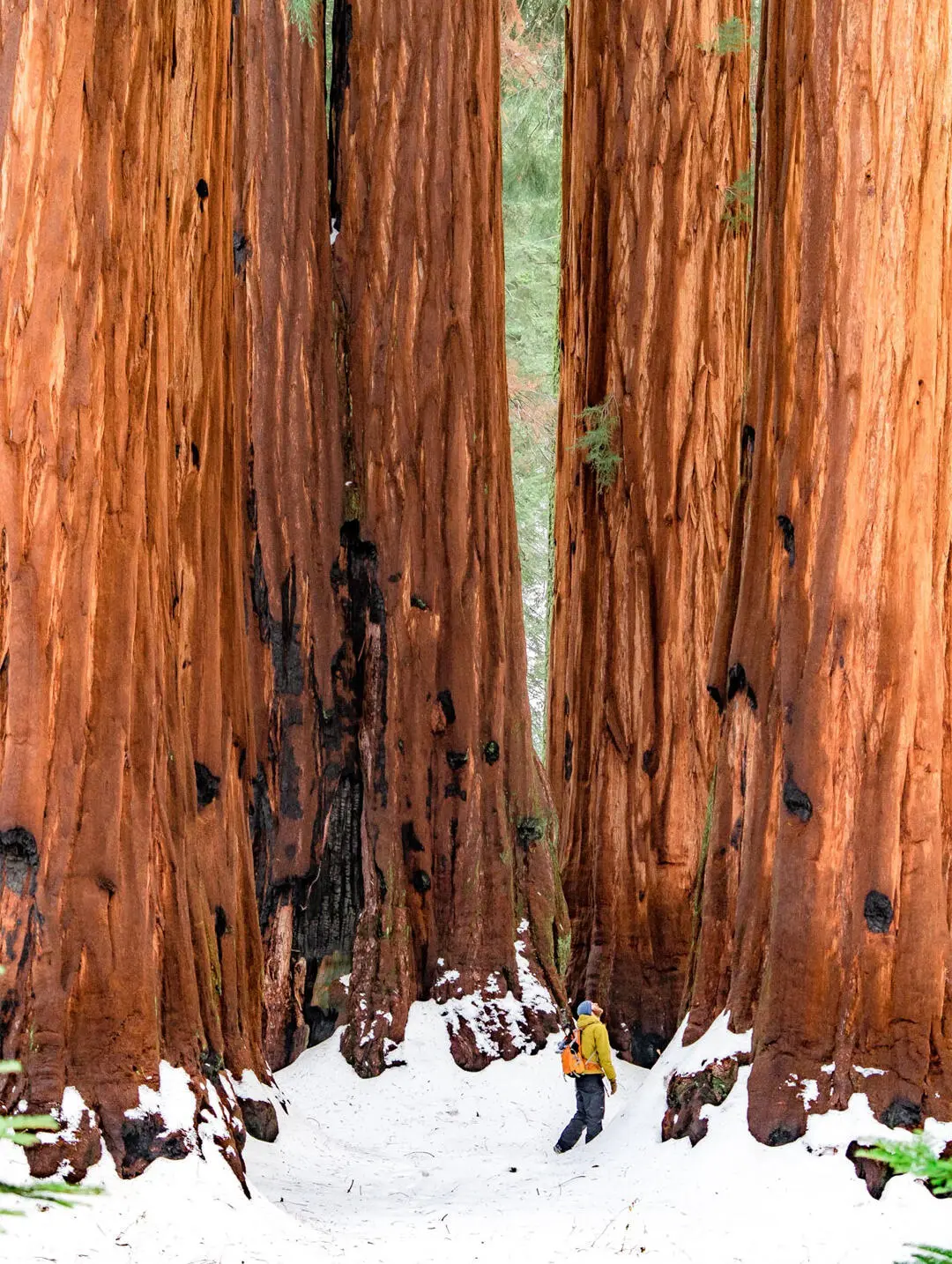 感恩节玩透美西❓这条小众环线戒掉自驾瘾