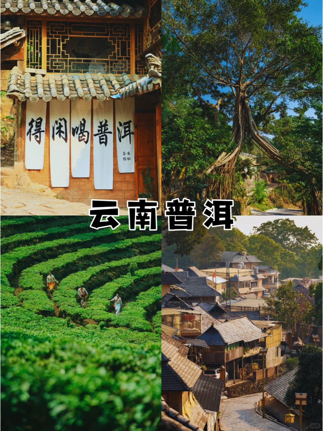 春节别再冻成狗 这十个温暖城市超适合旅游