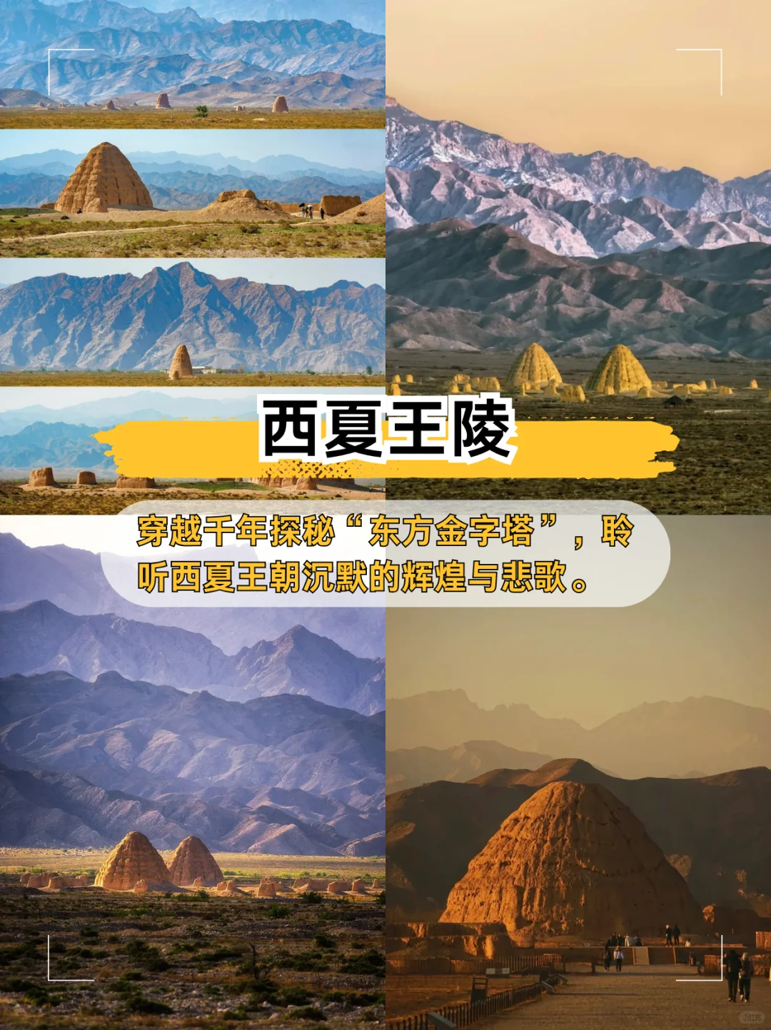 玩了5天只花1.5K🐪宁夏银川旅游宝藏地图