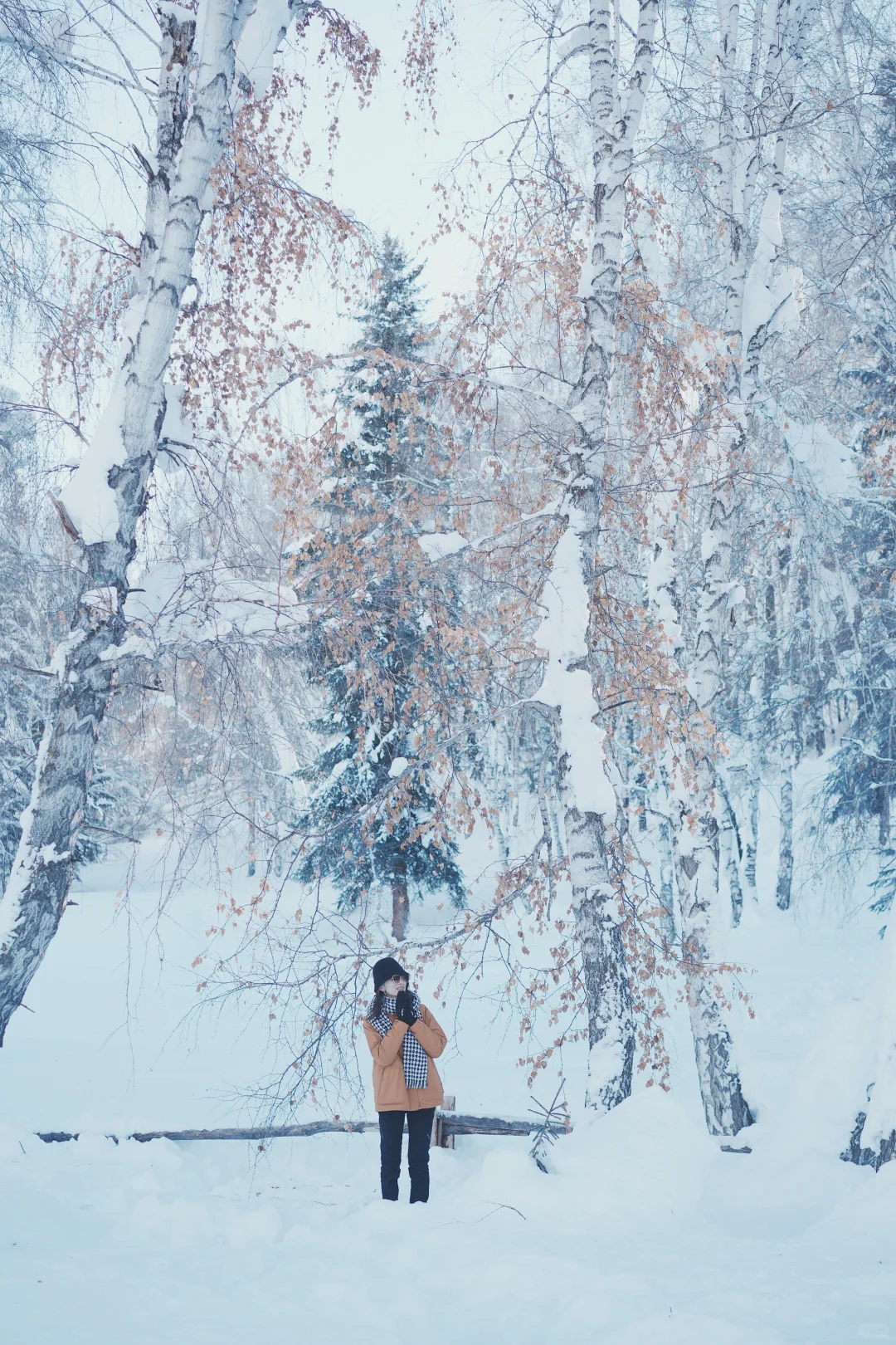 一个人勇闯阿勒泰❄️7天6夜花了不到4000r