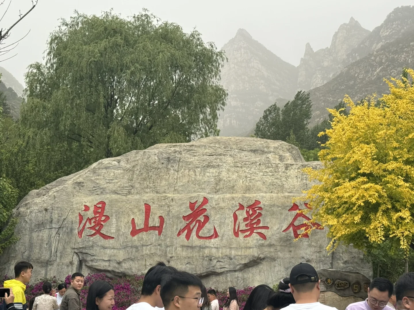 🌼石家庄漫山花溪谷 | 🌟🌟