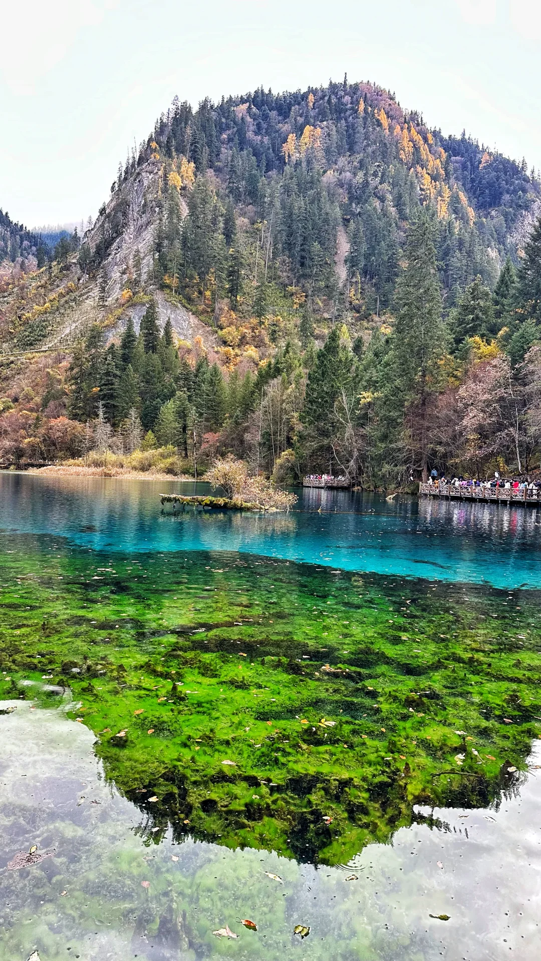 其实玩好九寨沟的精髓是松弛