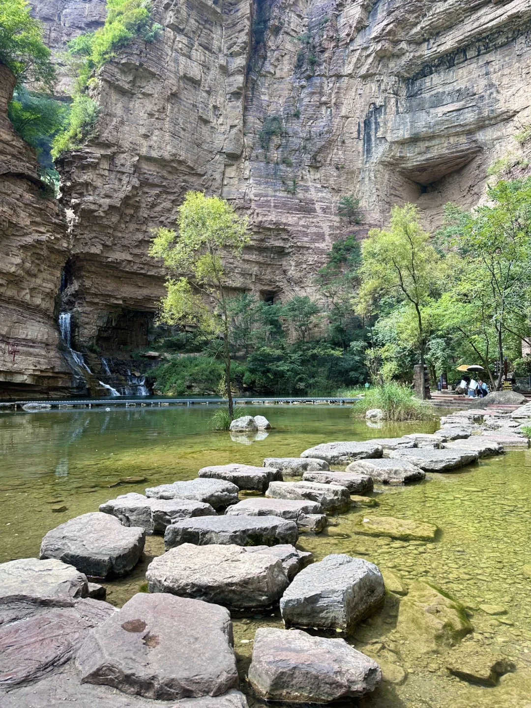 放轻松 森呼吸🍃