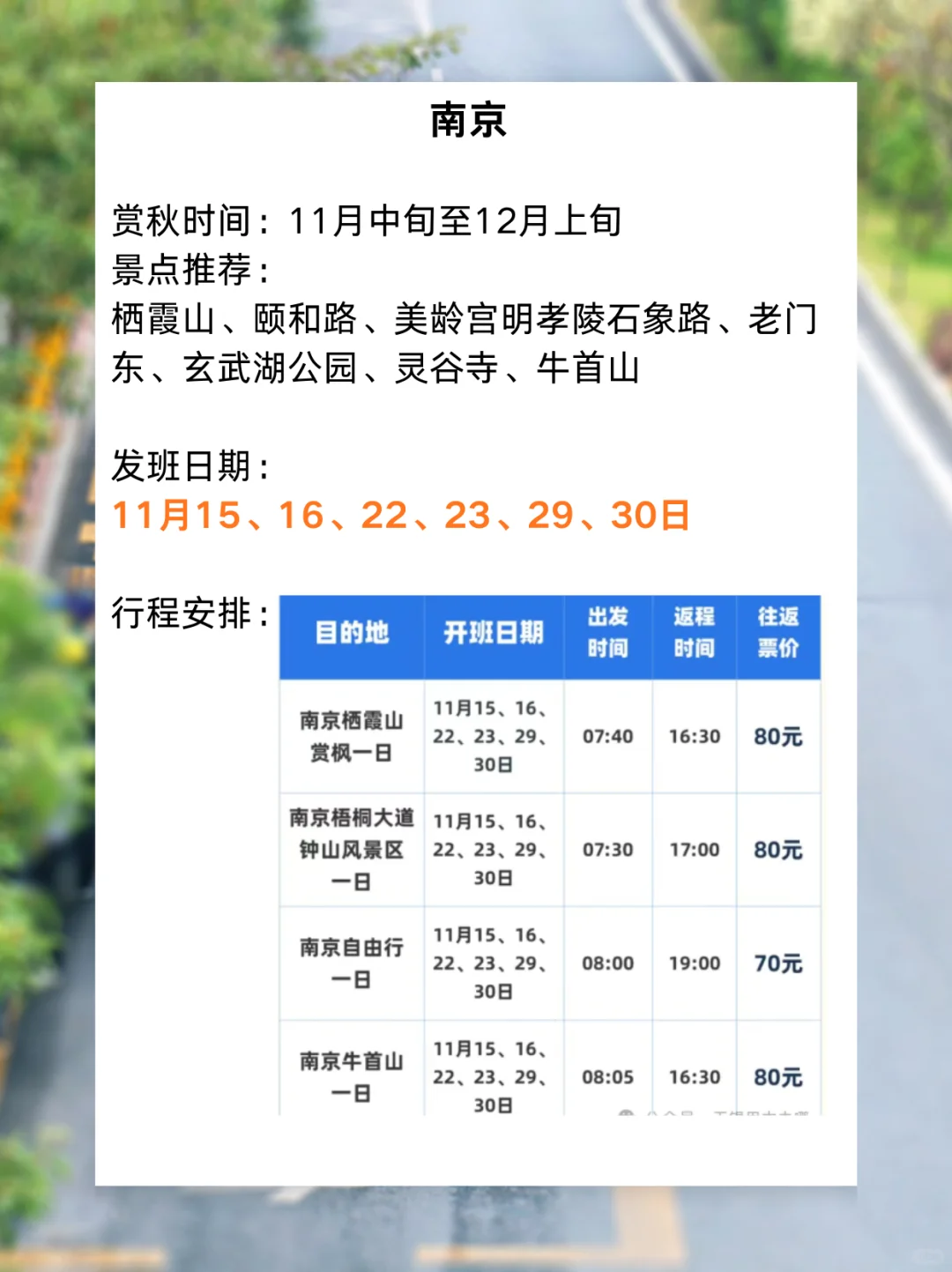 11月景区直通车来啦✨