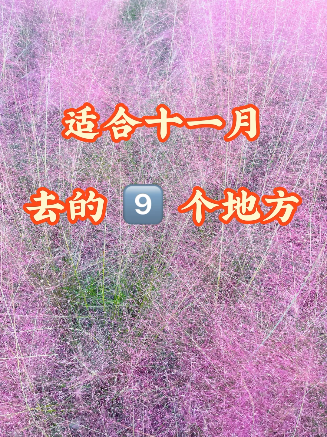 11月适合去的9个旅行地｜行动起来