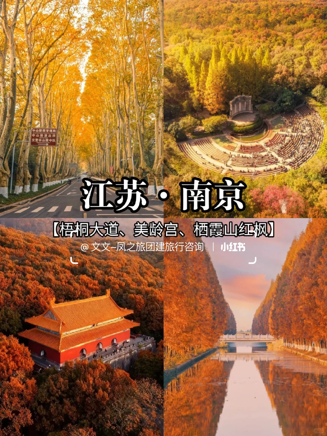 秋冬日限定版🍁10-12月国内赏秋地推荐