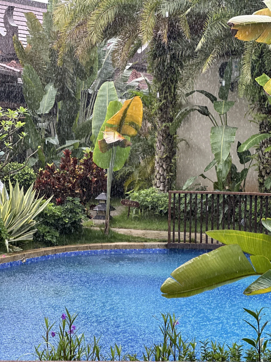 芒市｜大馋丫头3天2晚芒市旅行不完全攻略