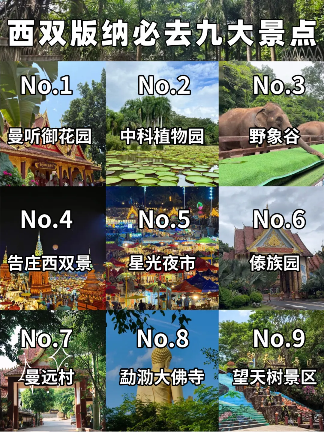 🌟 版纳必打卡9大景点|一定要体验一下