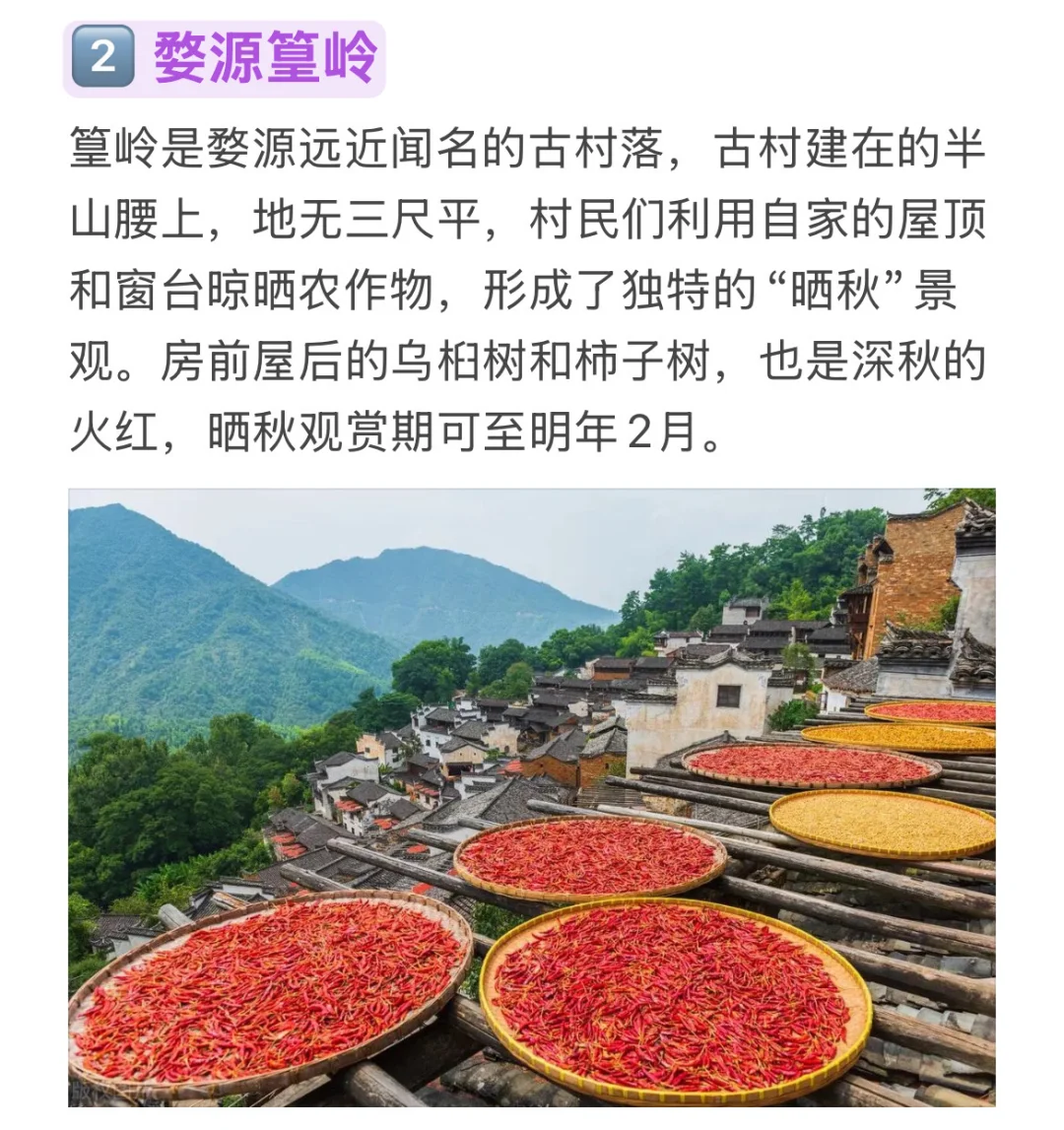 11月适合去的9个旅行地｜行动起来