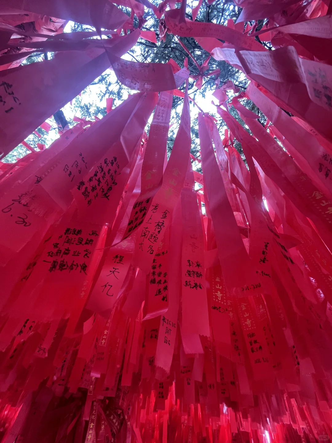 镇江自驾游